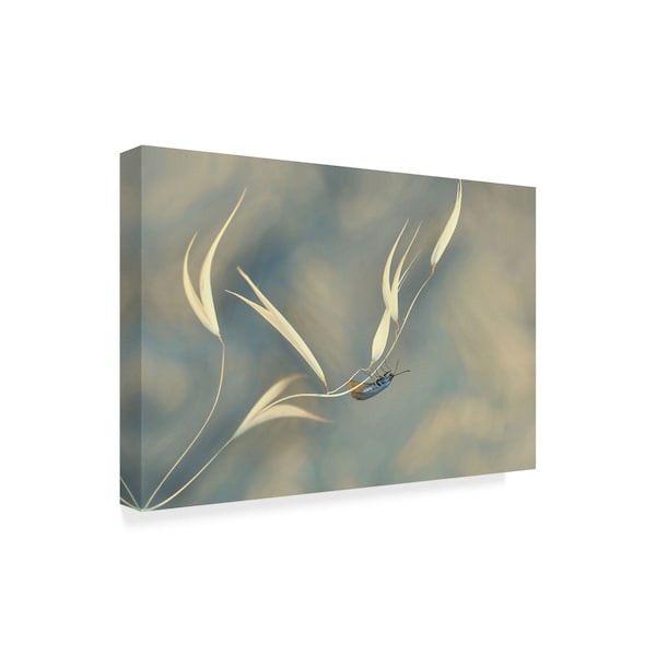 Thierry Dufour 'Symphony Unfinished' Canvas Art,12x19